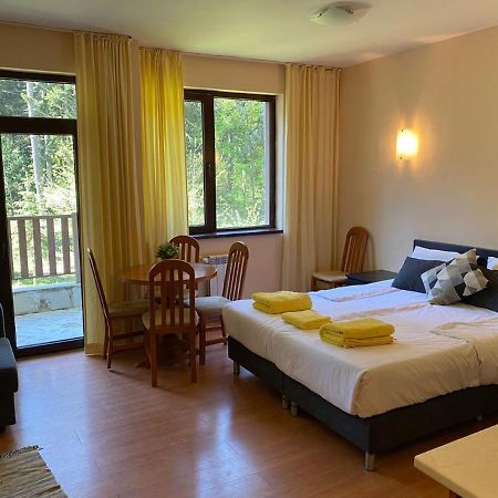 Flora Ski-Slope Studio Apartment Borovets Buitenkant foto