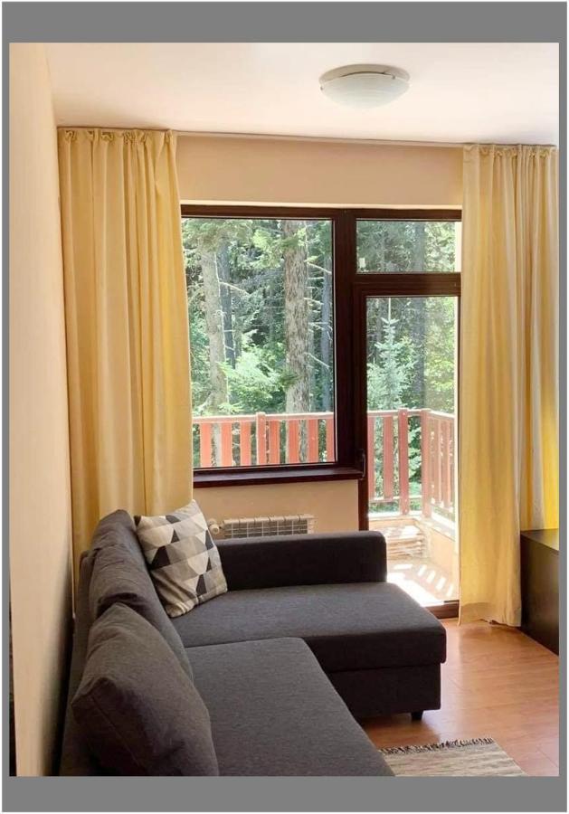 Flora Ski-Slope Studio Apartment Borovets Buitenkant foto