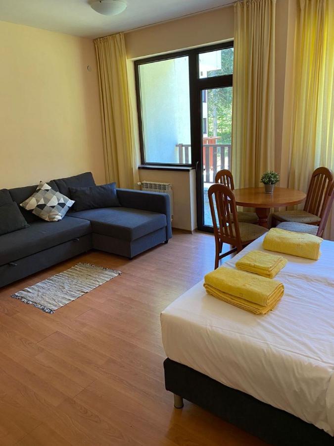Flora Ski-Slope Studio Apartment Borovets Buitenkant foto