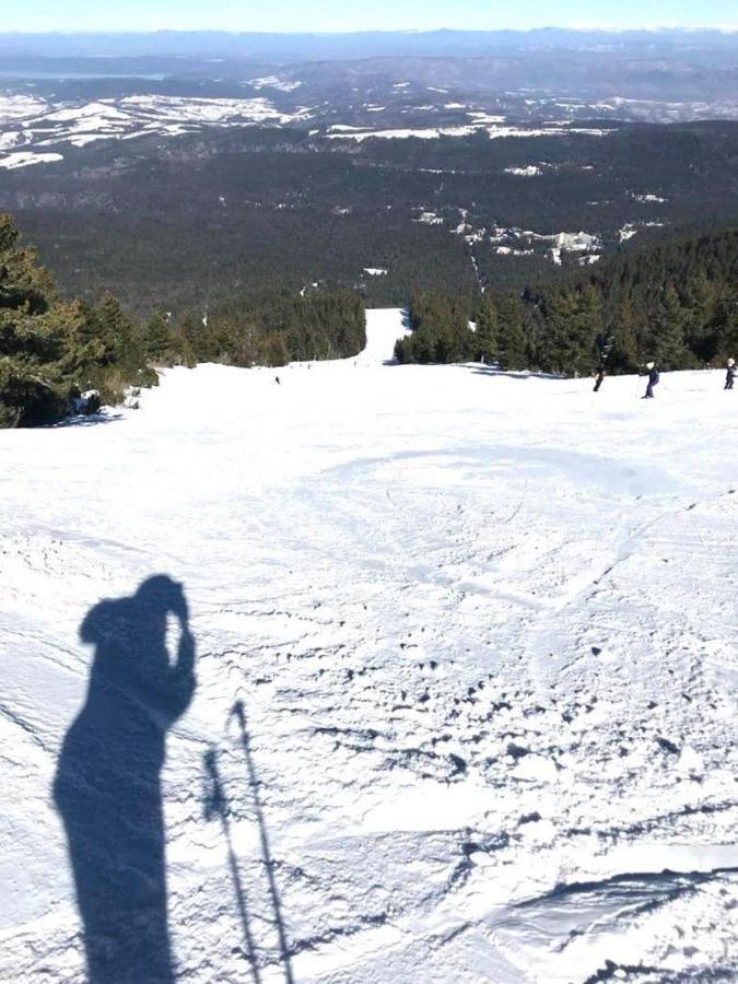 Flora Ski-Slope Studio Apartment Borovets Buitenkant foto
