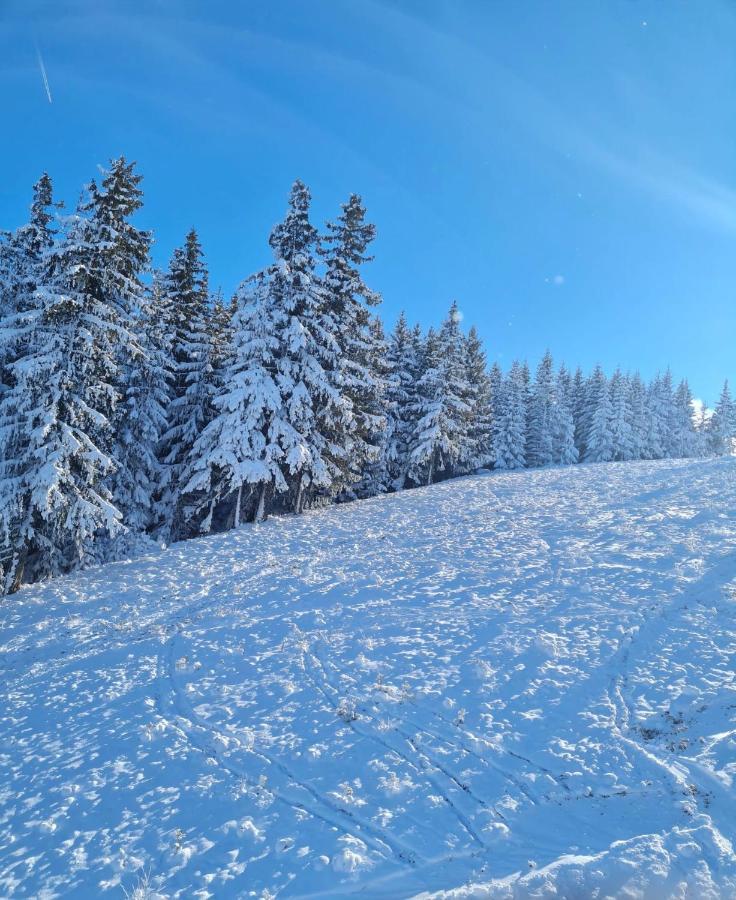 Flora Ski-Slope Studio Apartment Borovets Buitenkant foto