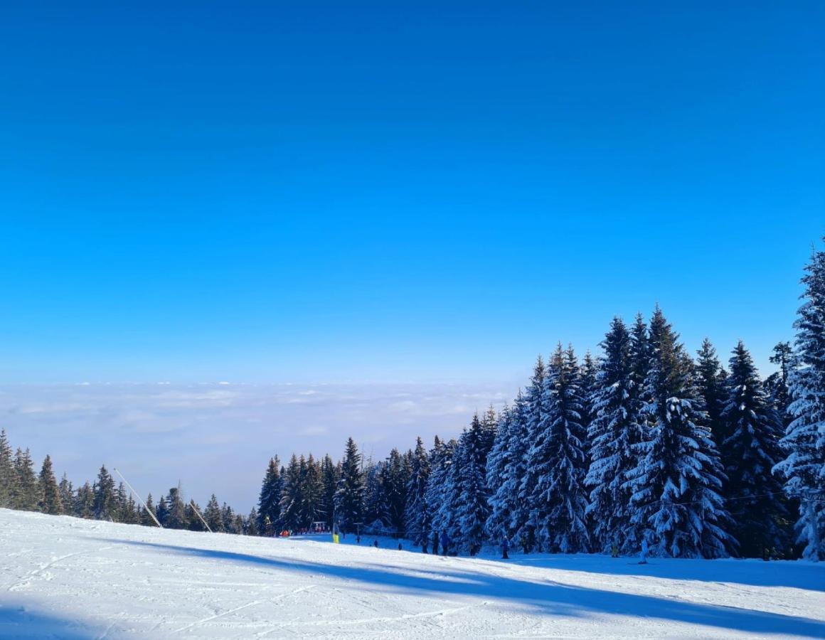 Flora Ski-Slope Studio Apartment Borovets Buitenkant foto